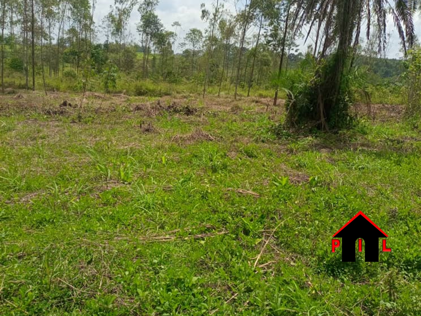 Agricultural Land for sale in Kajjansi Wakiso