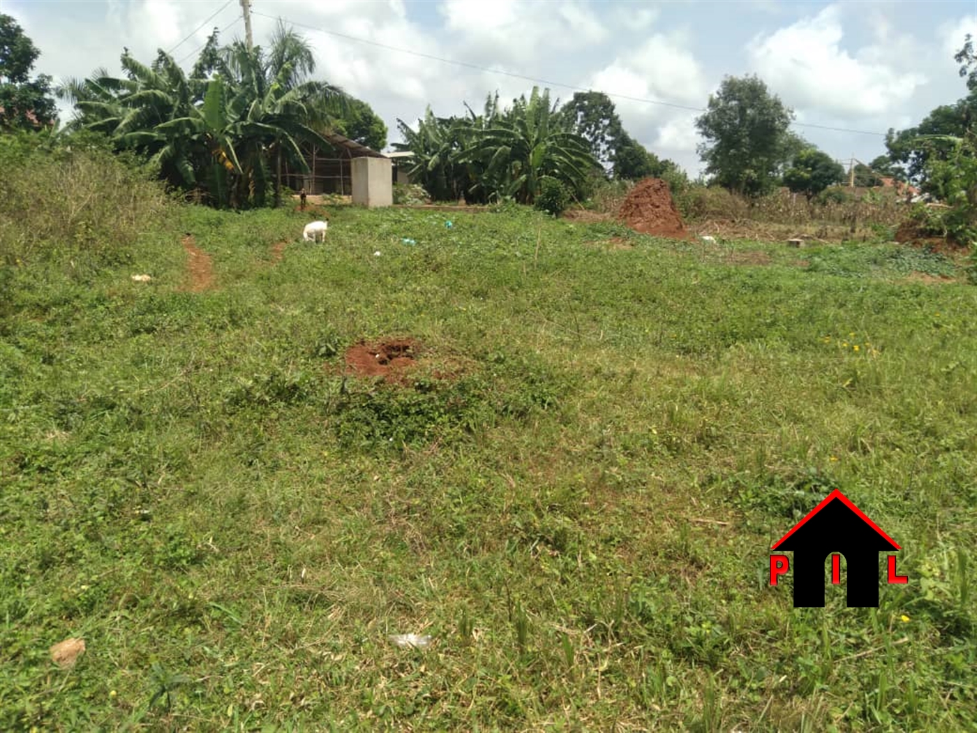 Residential Land for sale in Nkumba Wakiso