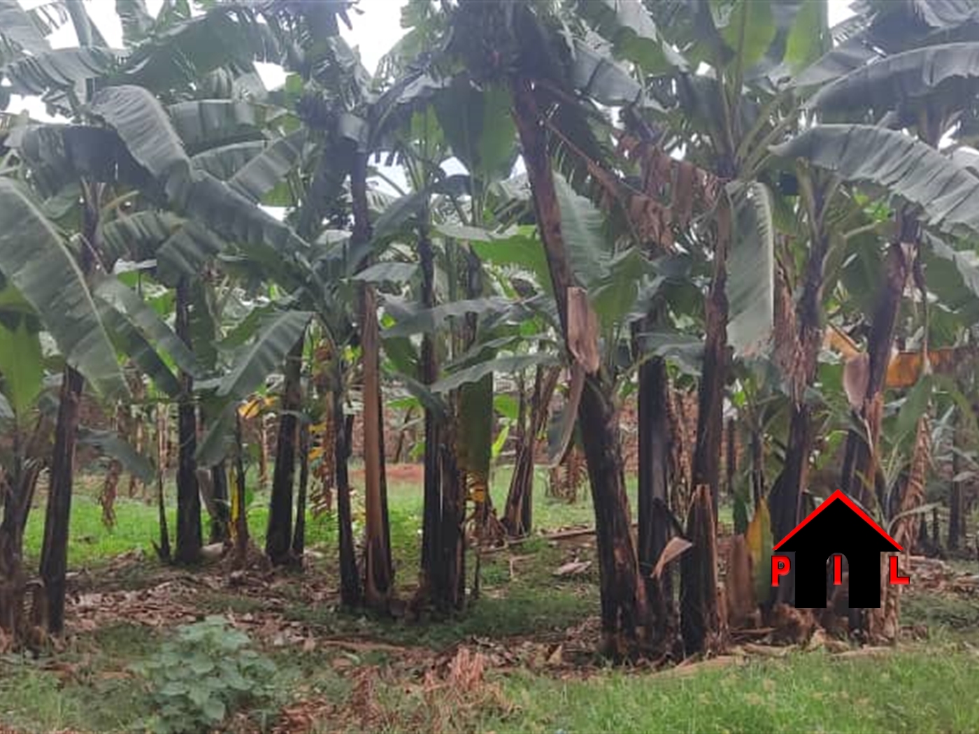 Residential Land for sale in Mbalwa Wakiso