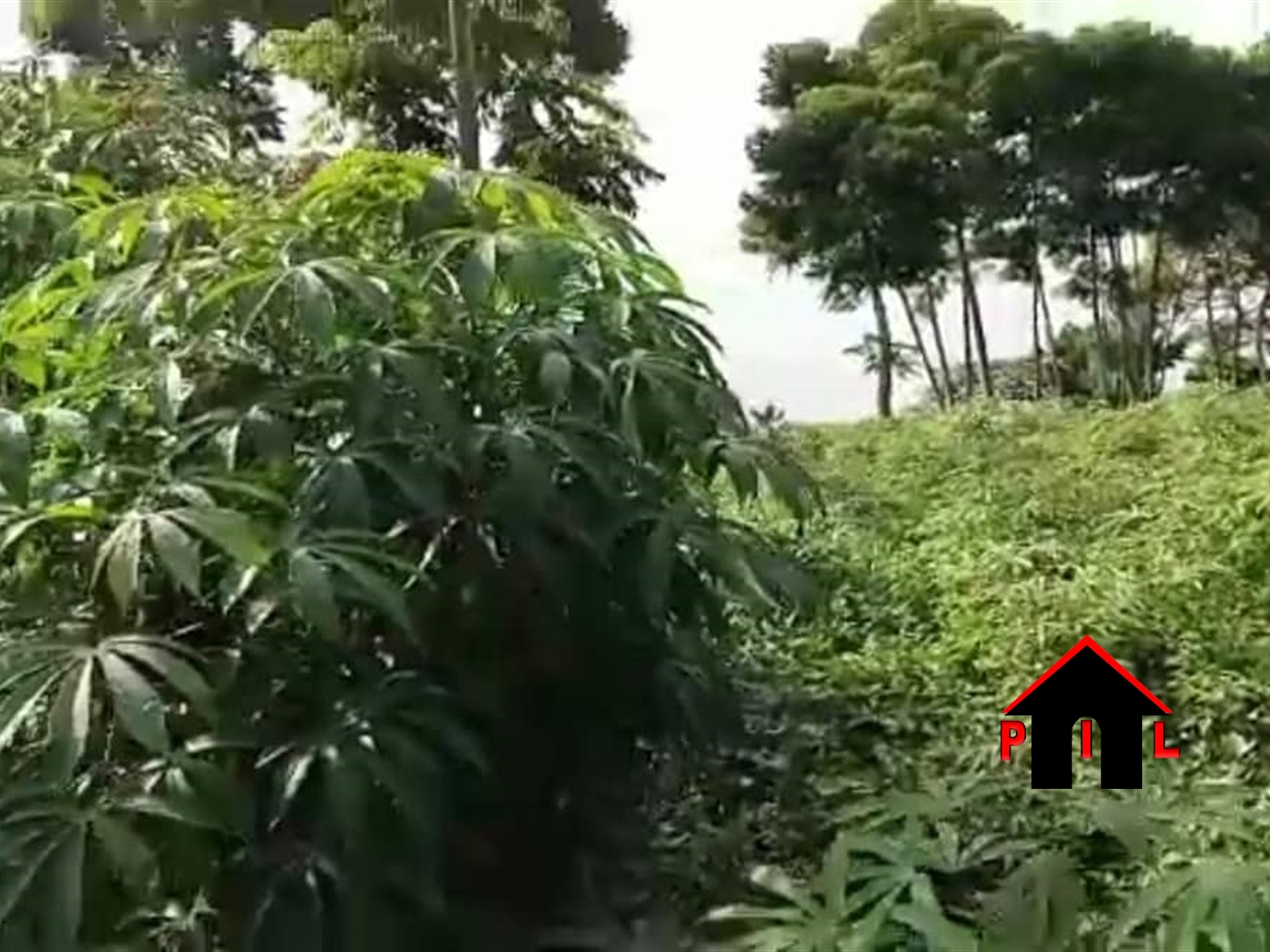 Residential Land for sale in Magere Wakiso