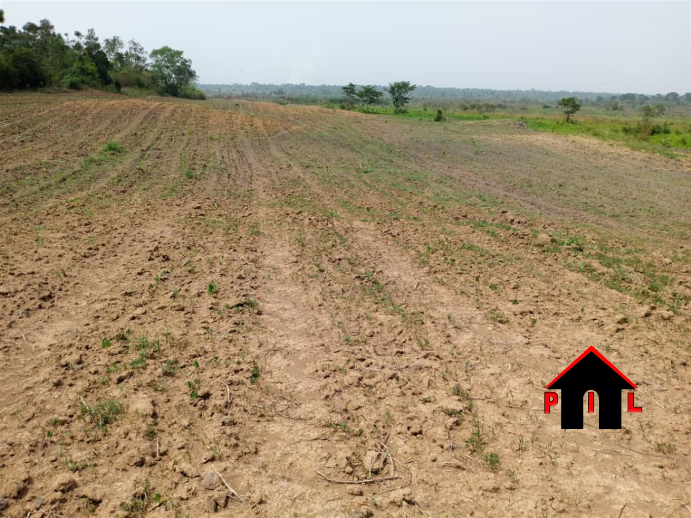 Residential Land for sale in Dodo Wakiso