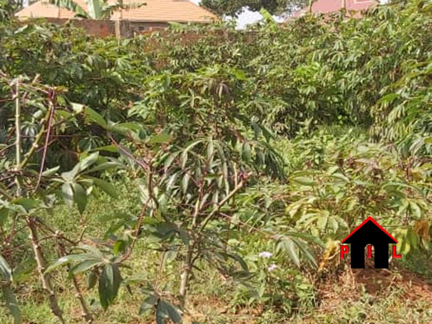 Residential Land for sale in Kiwenda Wakiso