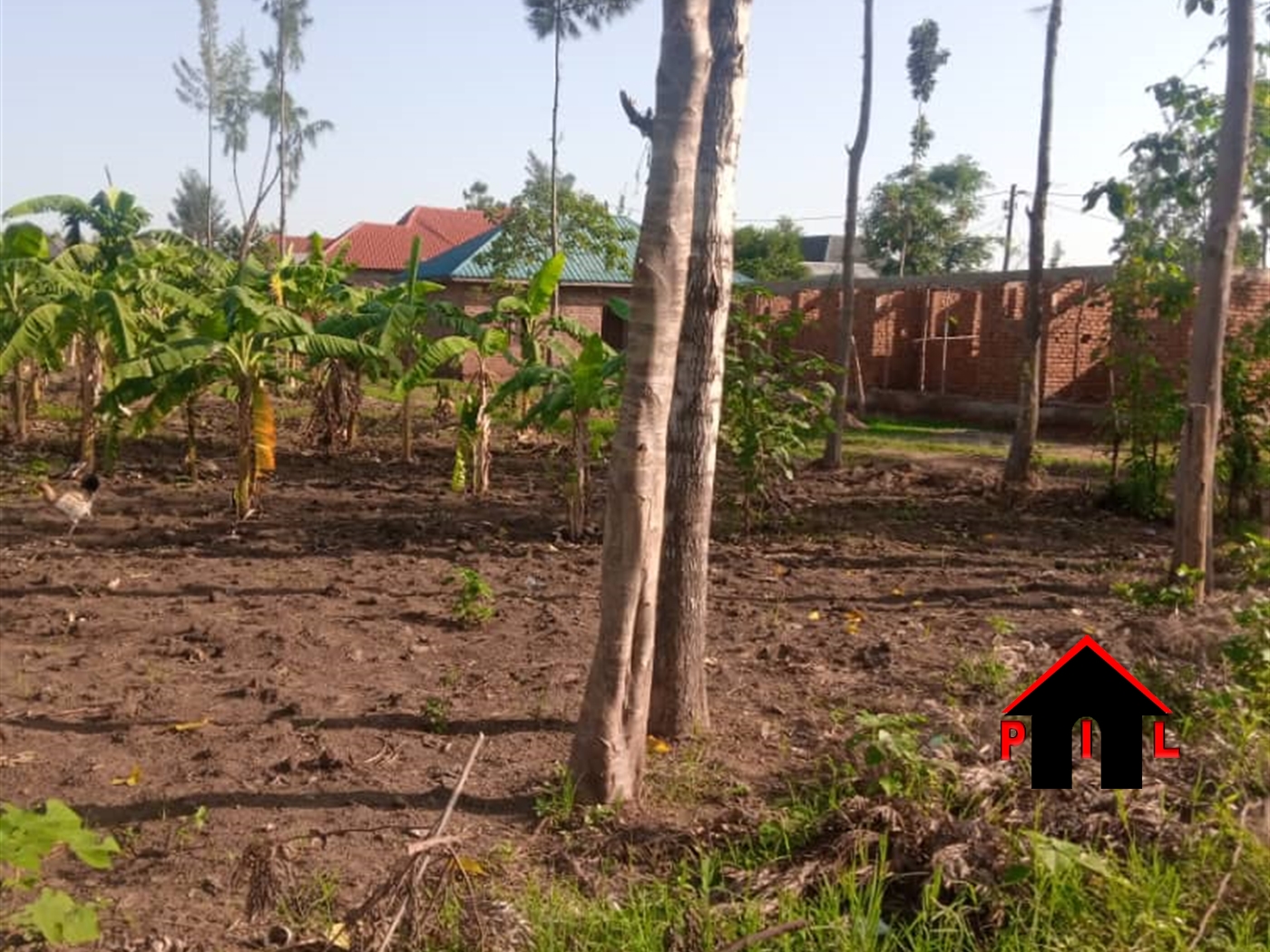 Residential Land for sale in Busukuma Wakiso