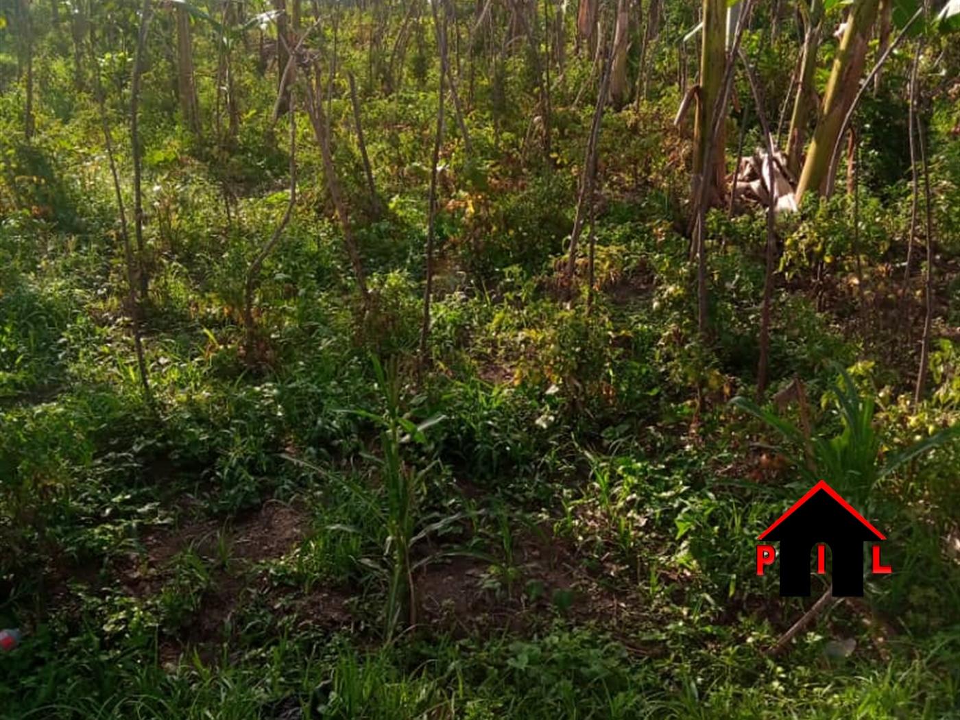 Residential Land for sale in Rubaga Kampala