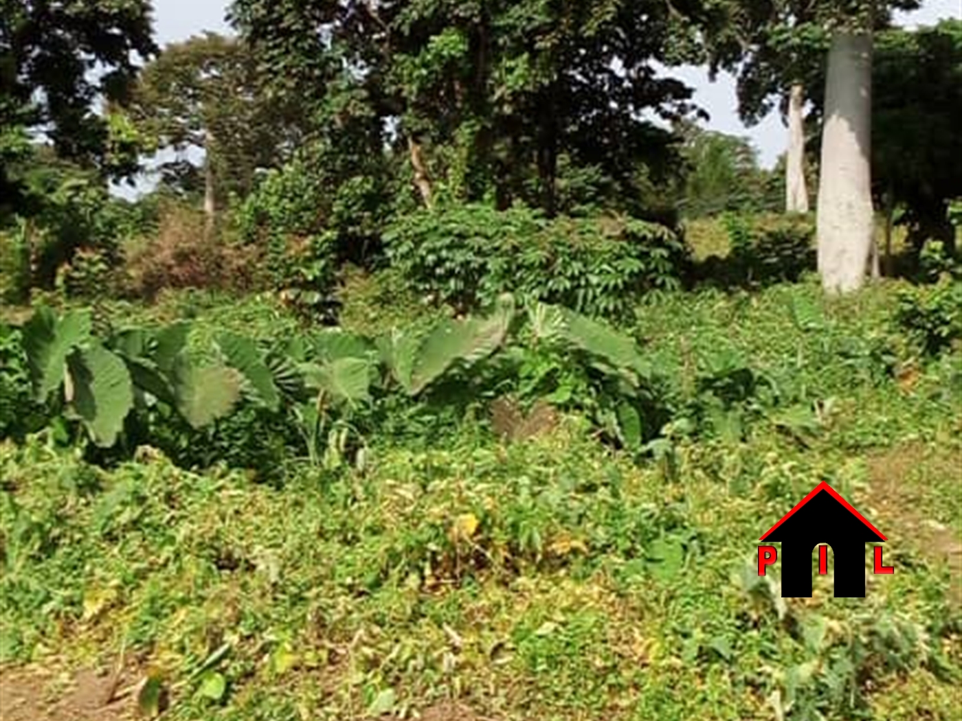 Residential Land for sale in Bwelenga Wakiso