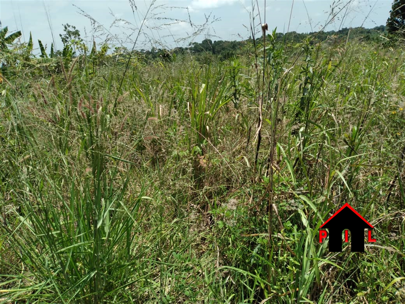 Commercial Land for sale in Namanve Wakiso