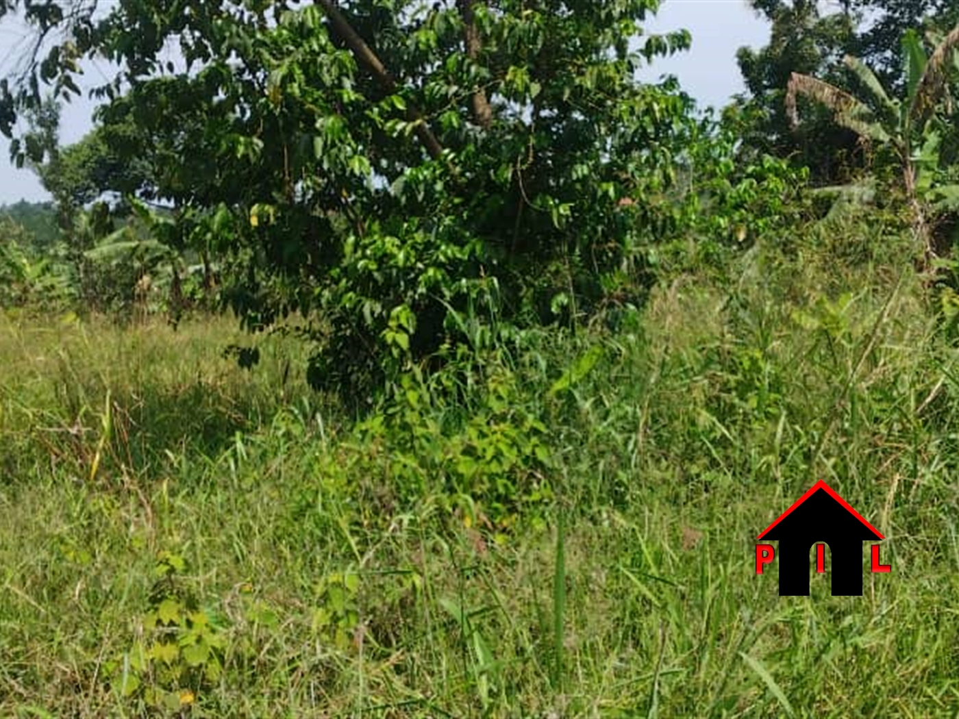 Agricultural Land for sale in Kabembe Mukono