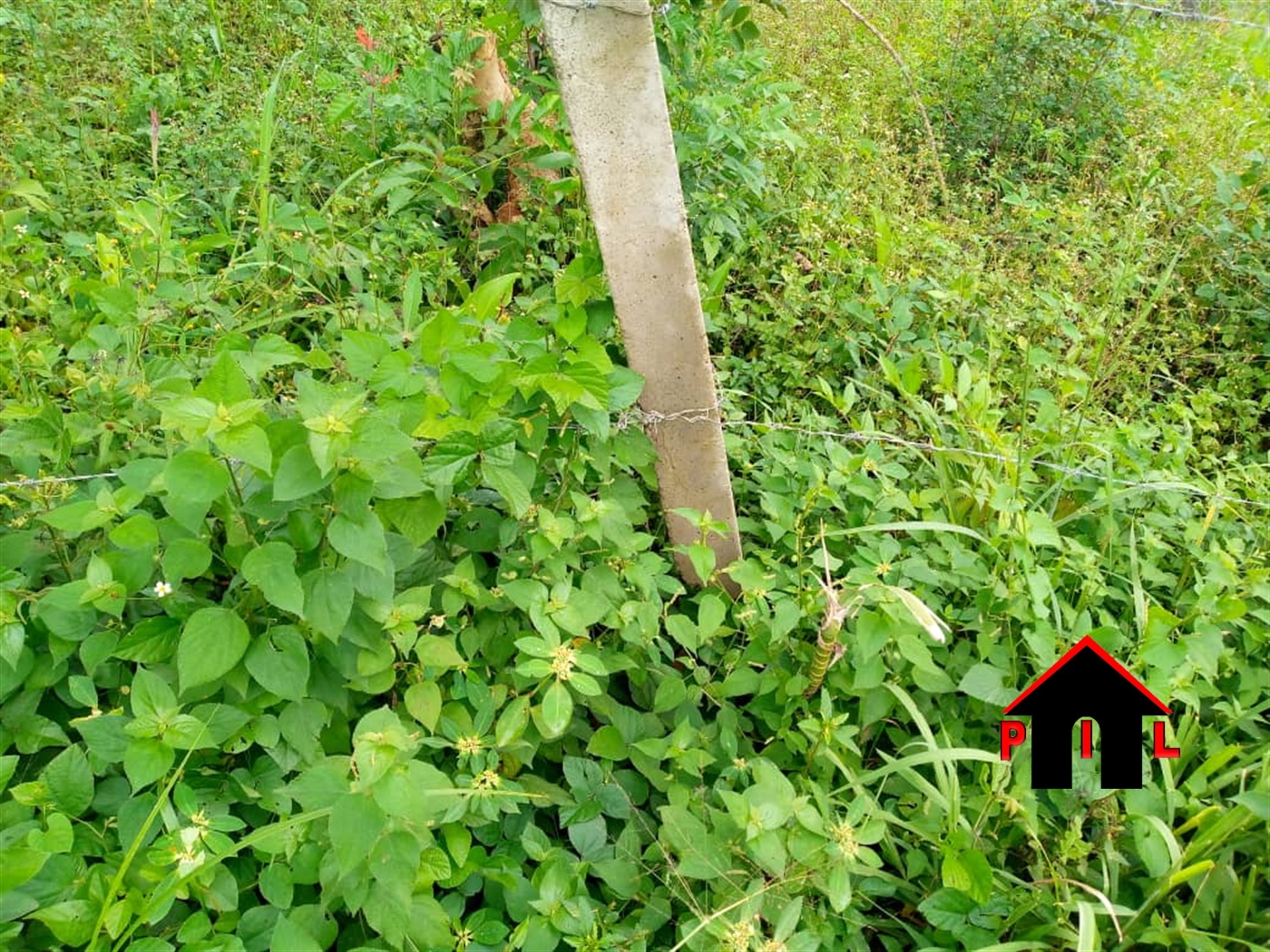 Residential Land for sale in Kabembe Mukono