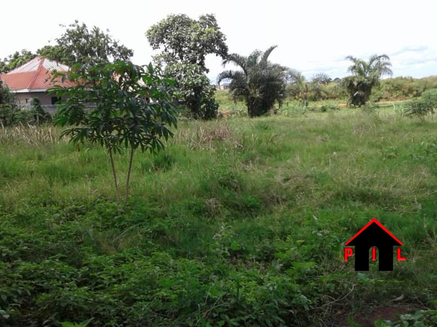 Residential Land for sale in Kiwenda Wakiso