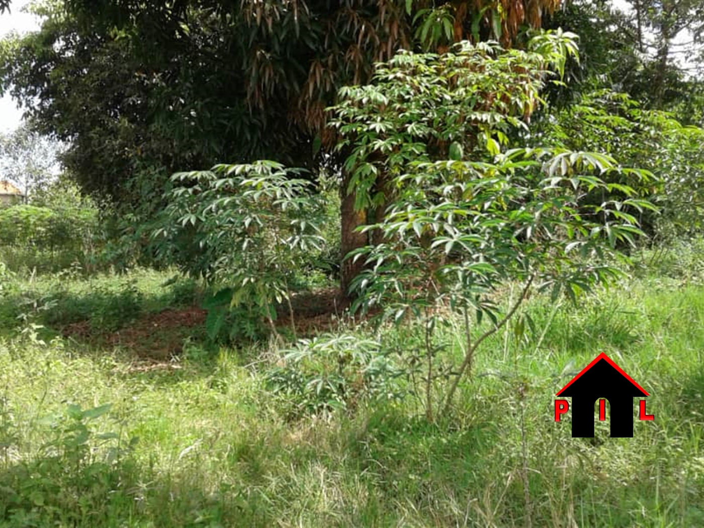 Residential Land for sale in Magere Wakiso