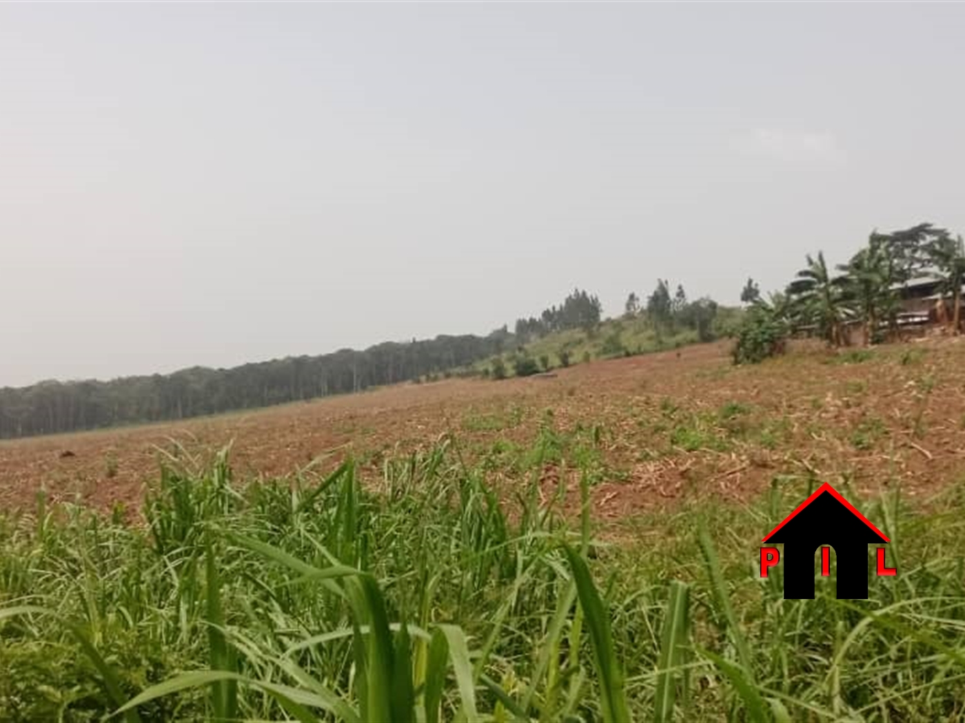 Residential Land for sale in Gayaza Wakiso