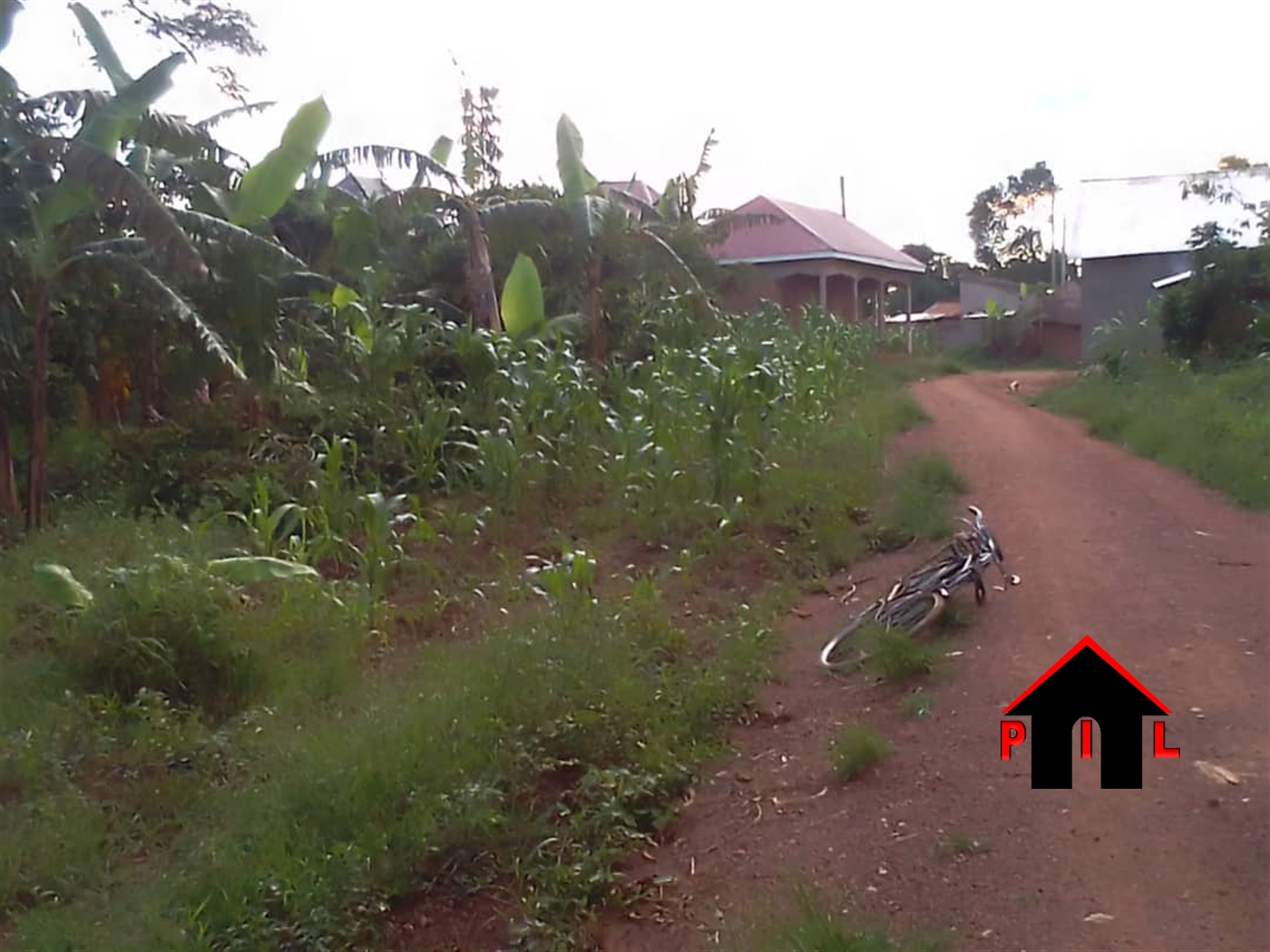 Residential Land for sale in Nalongo Luweero