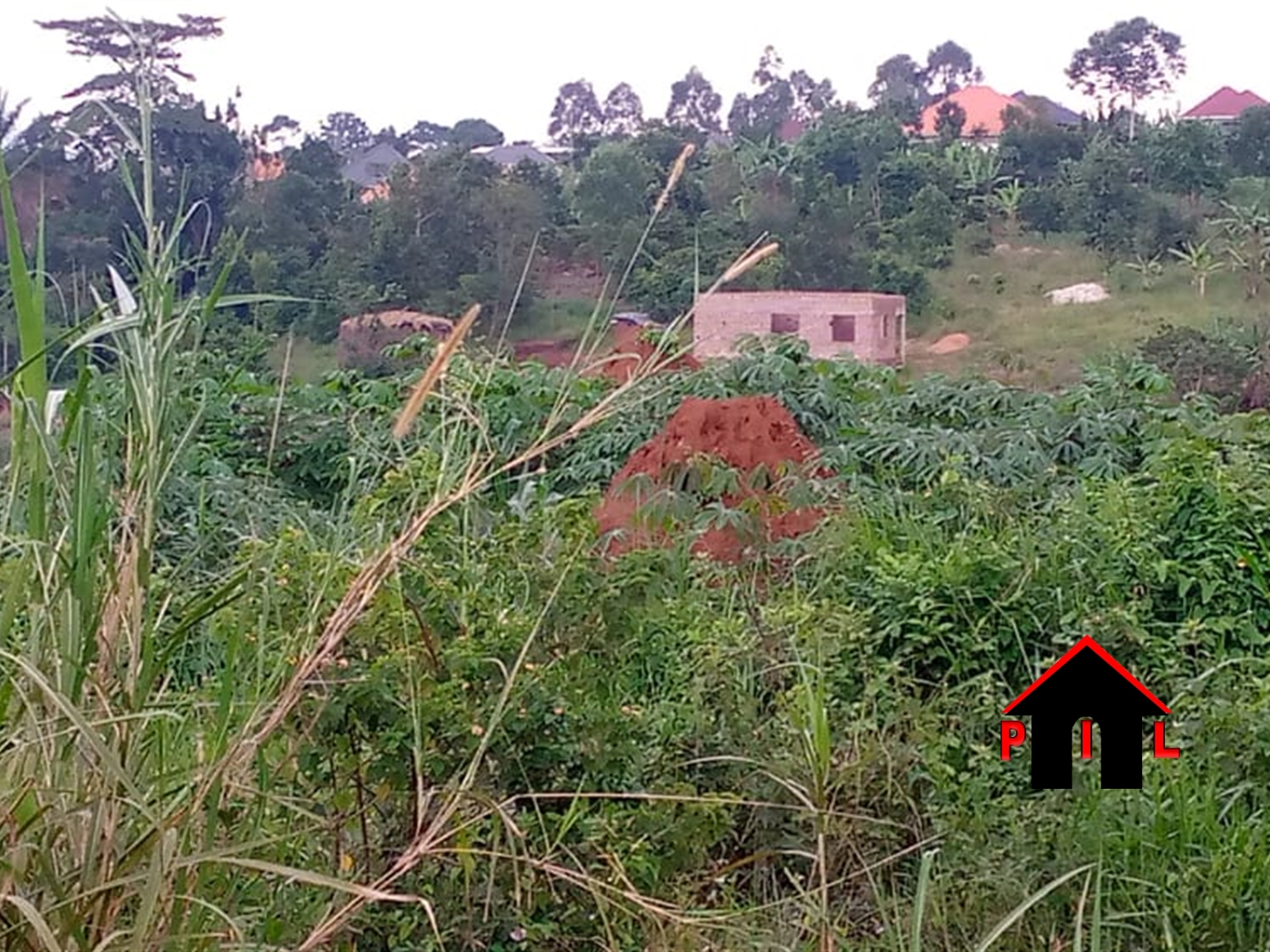 Residential Land for sale in Busukuma Wakiso