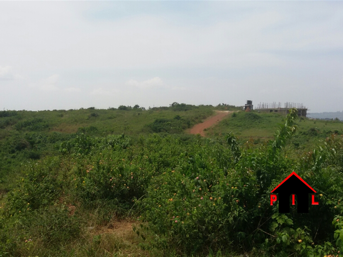 Agricultural Land for sale in Kabembe Mukono