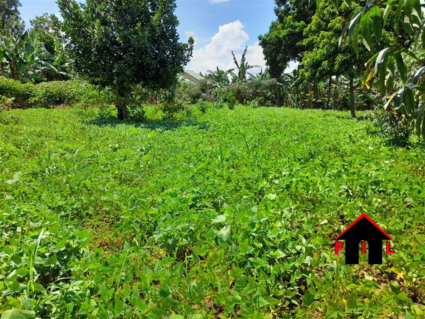 Residential Land for sale in Nkumba Wakiso