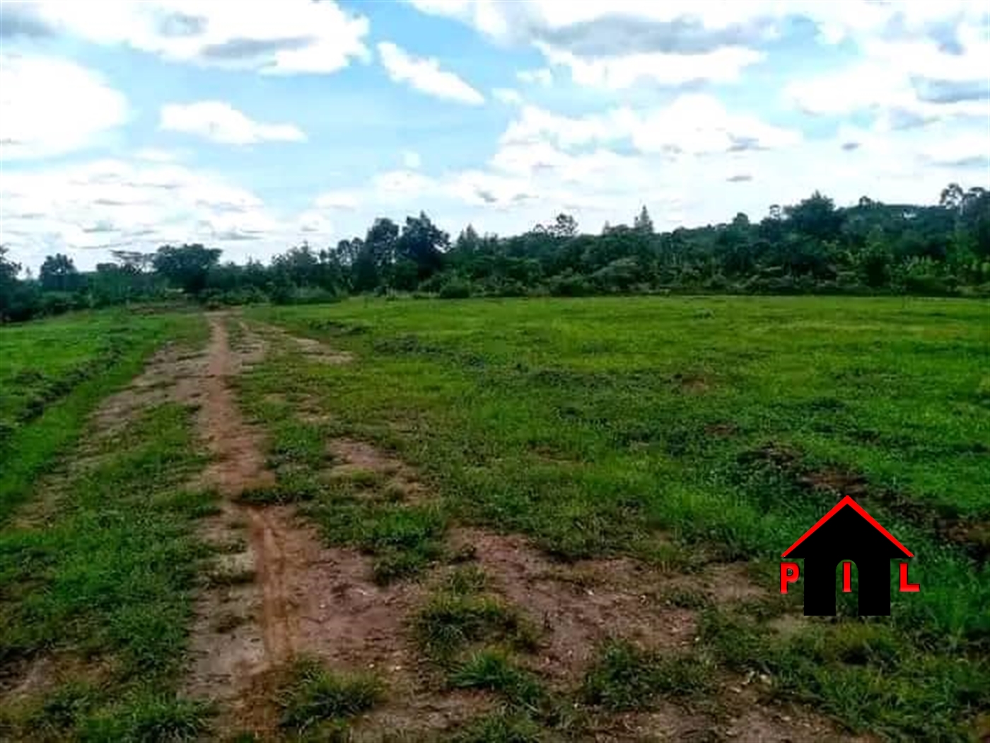 Agricultural Land for sale in Kakumilo Kibaale