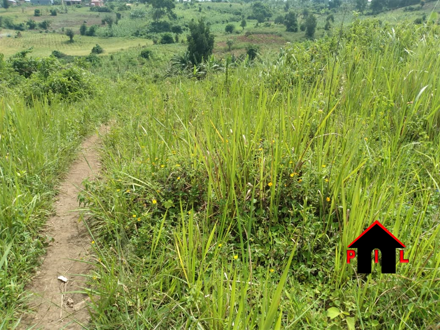 Agricultural Land for sale in Kiwenda Wakiso