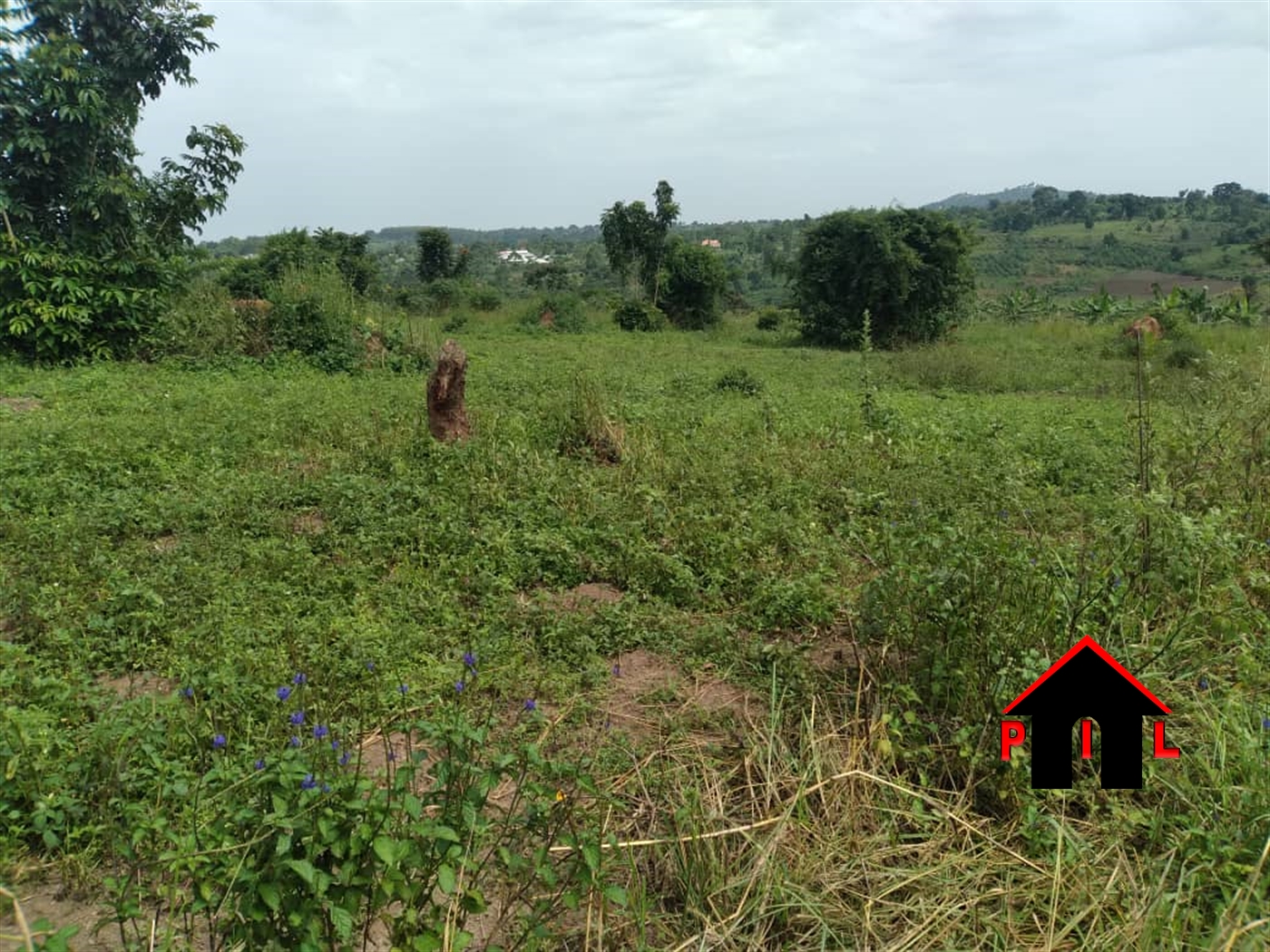 Agricultural Land for sale in Kiwenda Wakiso