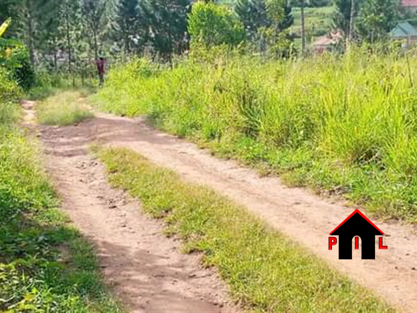 Residential Land for sale in Kiwenda Wakiso