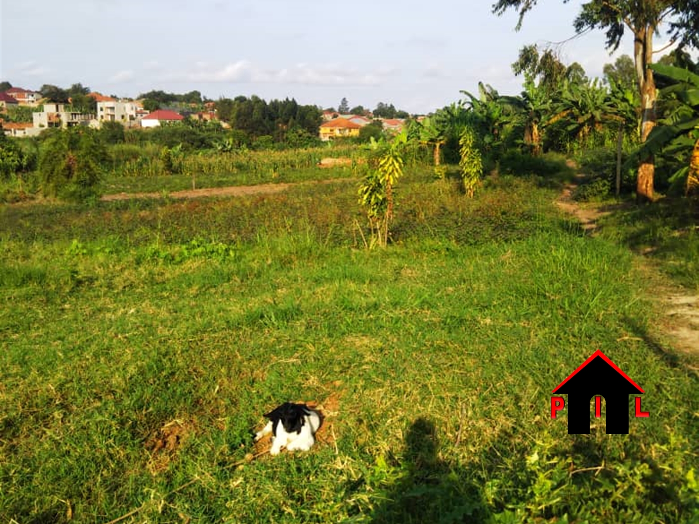 Residential Land for sale in Magere Wakiso