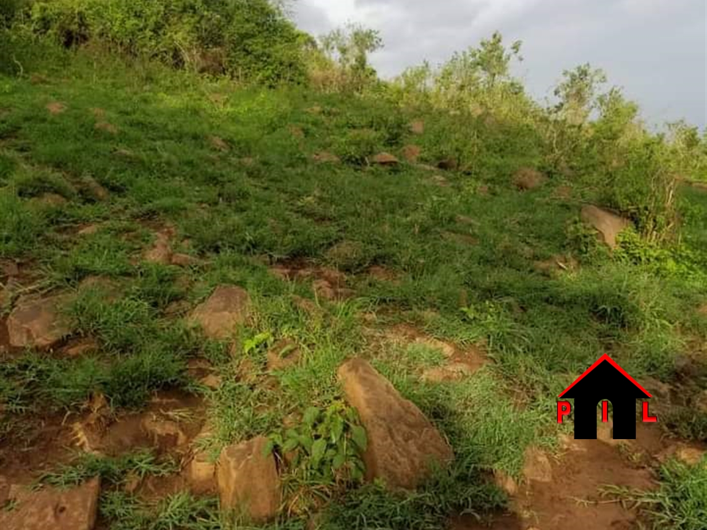 Agricultural Land for sale in Madudu Mubende