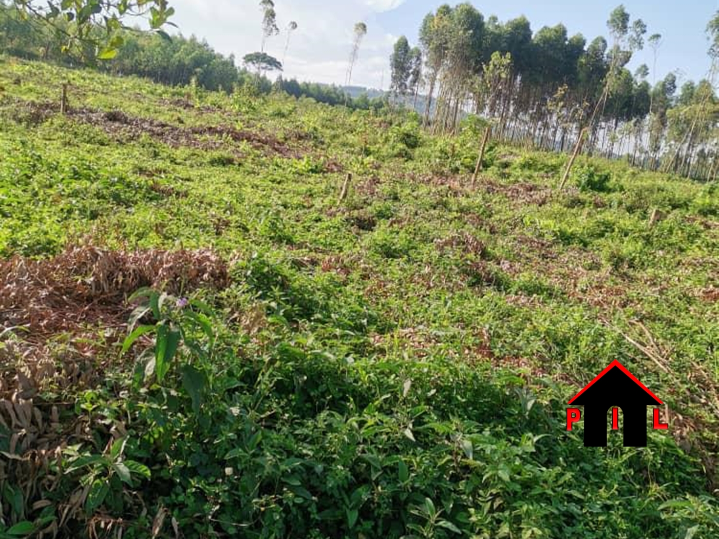 Residential Land for sale in Matugga Wakiso