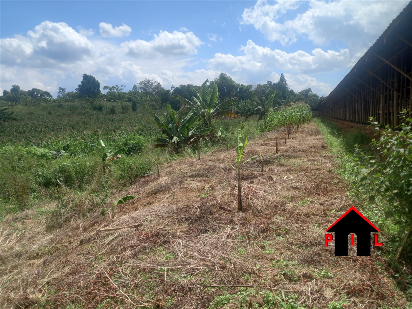 Residential Land for sale in Nakassajja Mukono