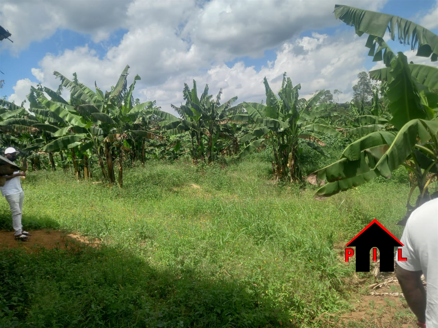 Residential Land for sale in Nakassajja Mukono