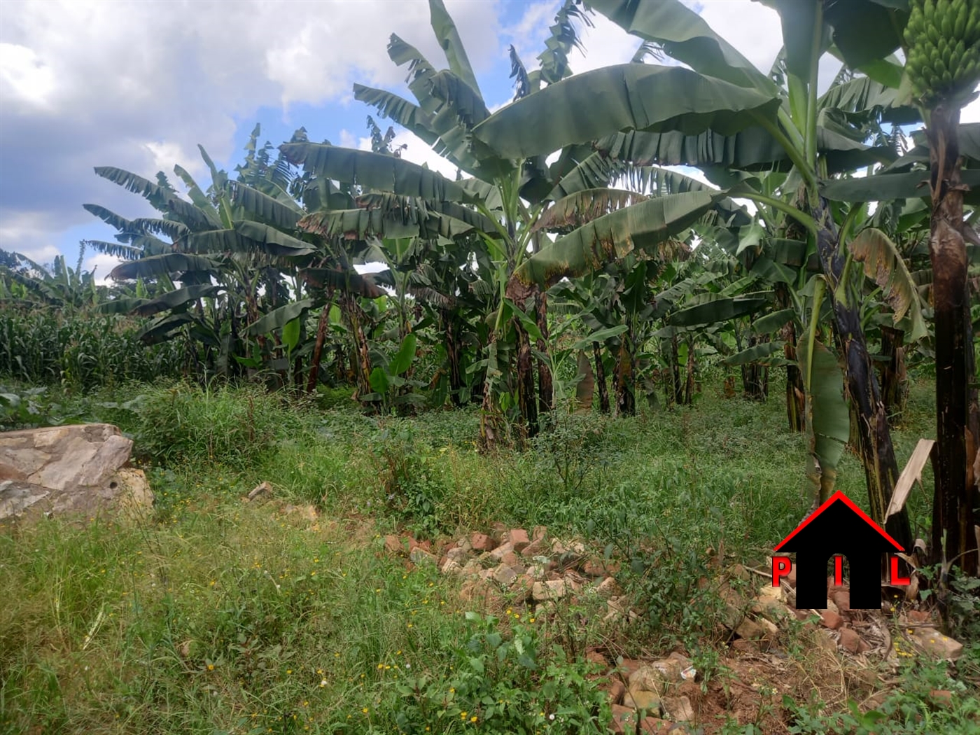 Residential Land for sale in Nakassajja Mukono