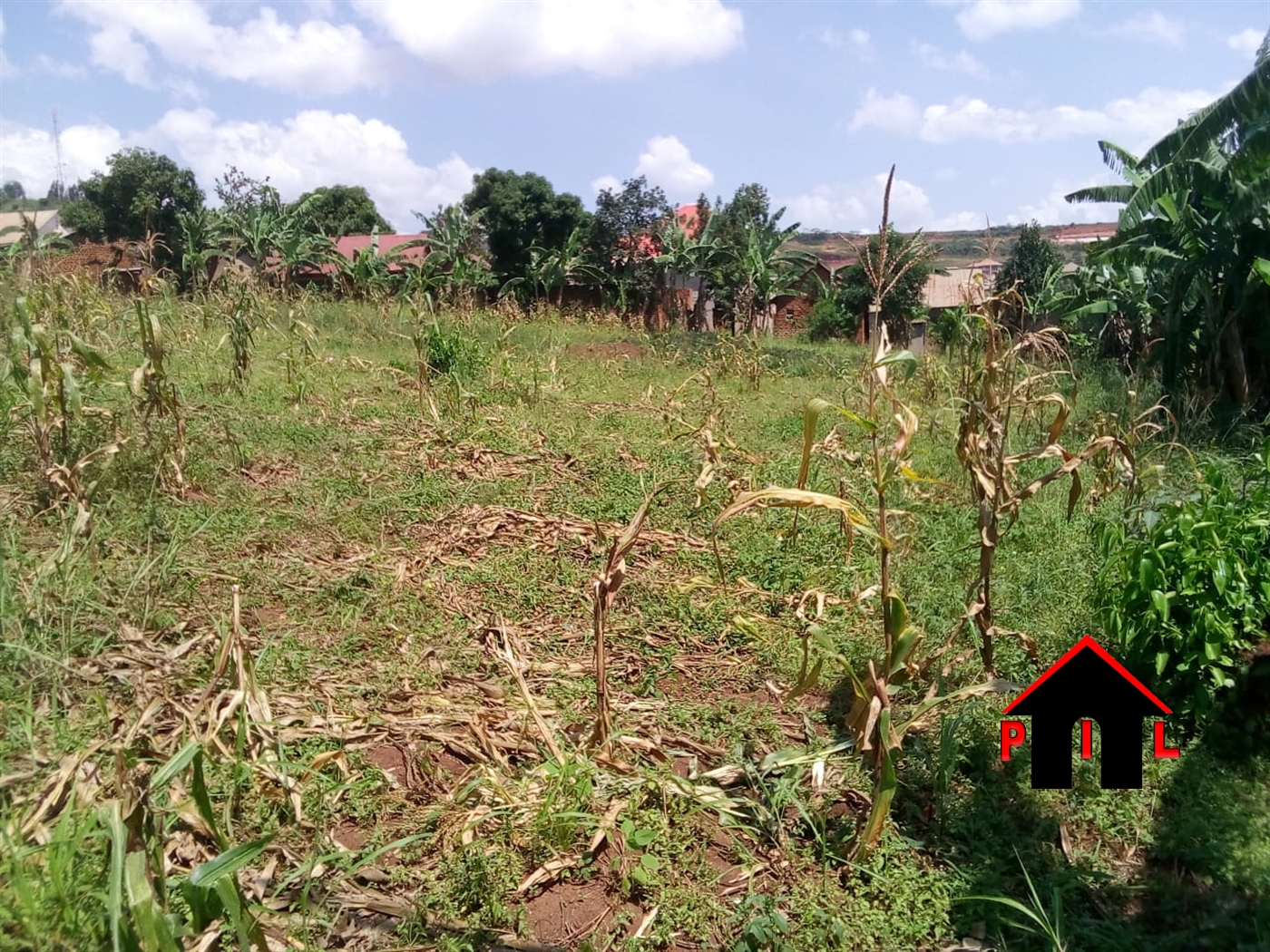 Commercial Land for sale in Sentema Wakiso