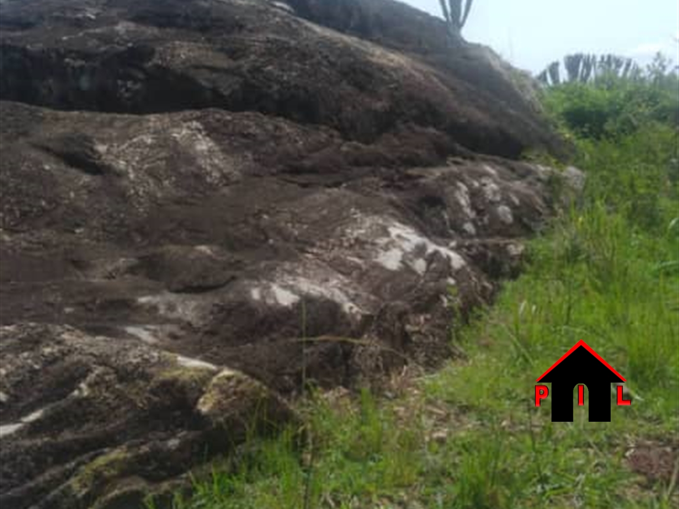 Commercial Land for sale in Kito Luweero