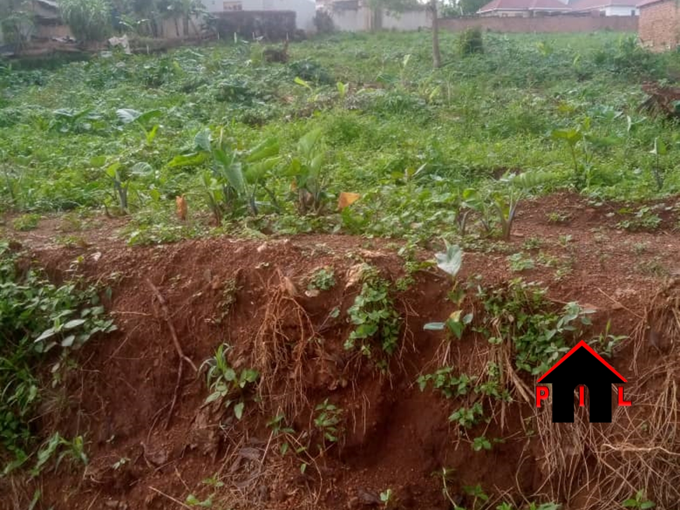 Commercial Land for sale in Koona Wakiso