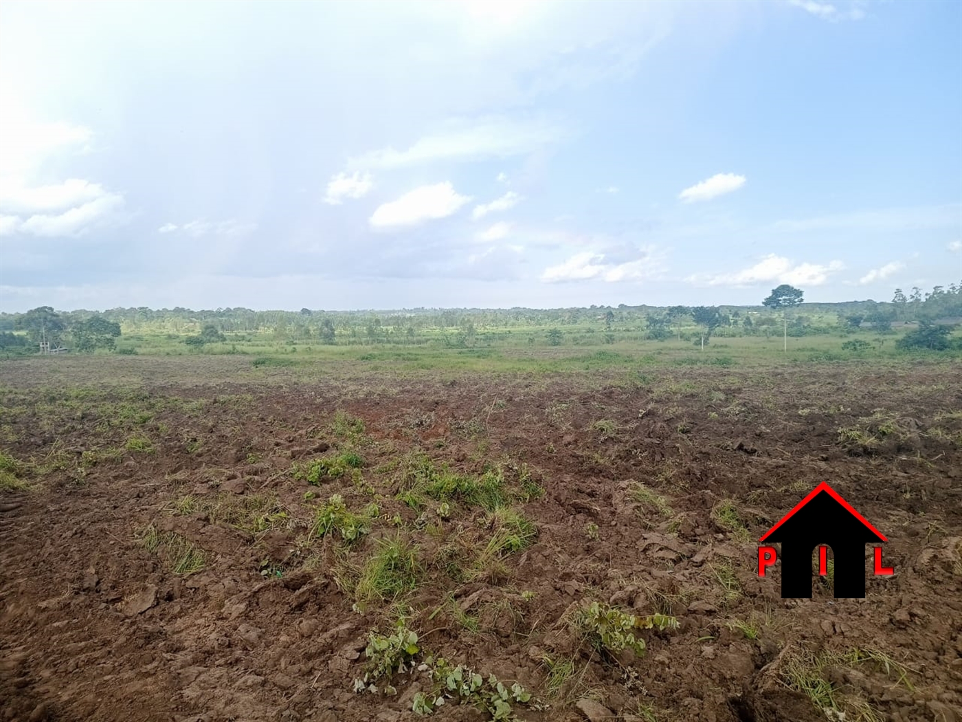 Commercial Land for sale in Nakifuma Mukono