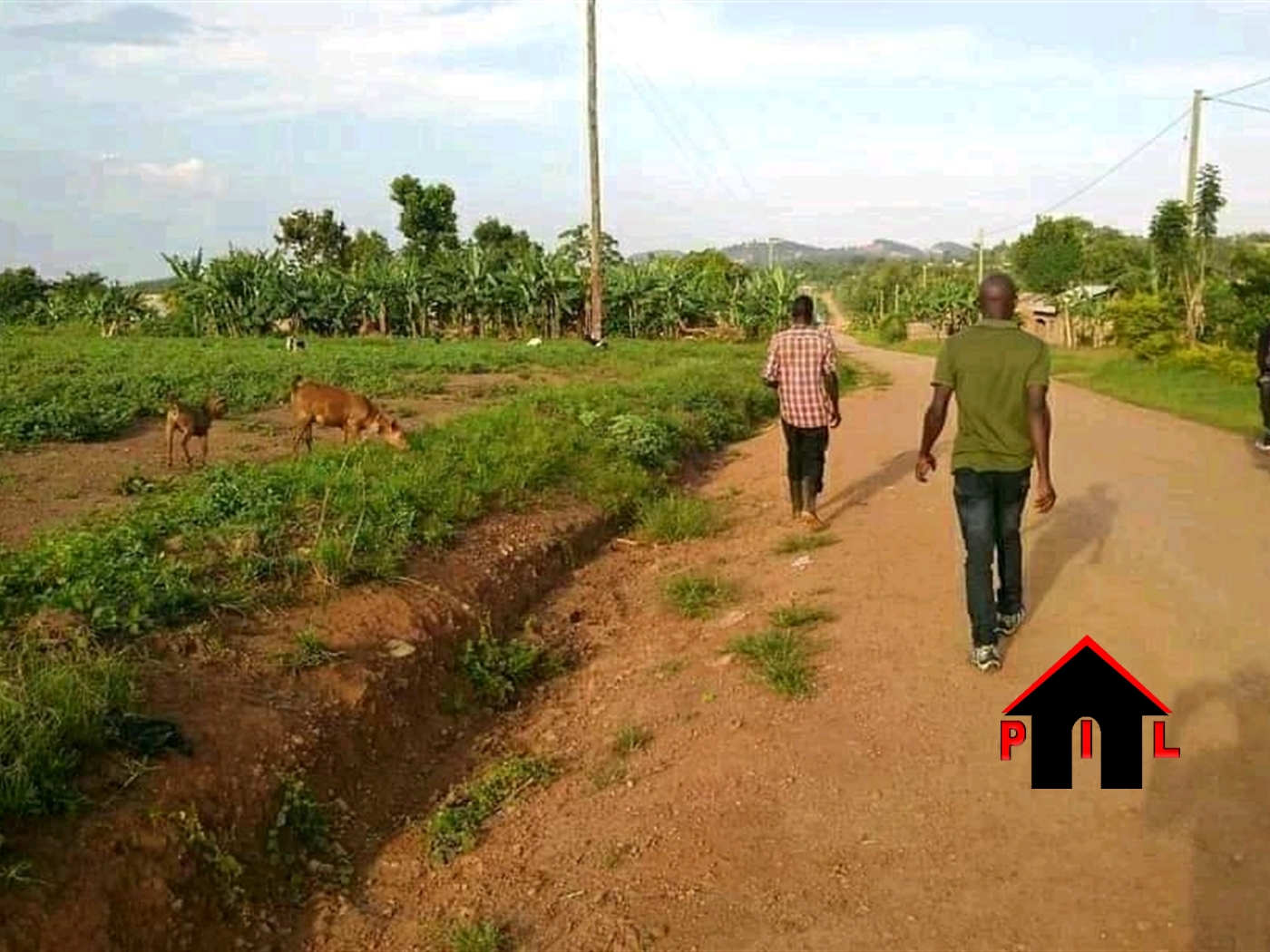 Residential Land for sale in Bbunga Wakiso