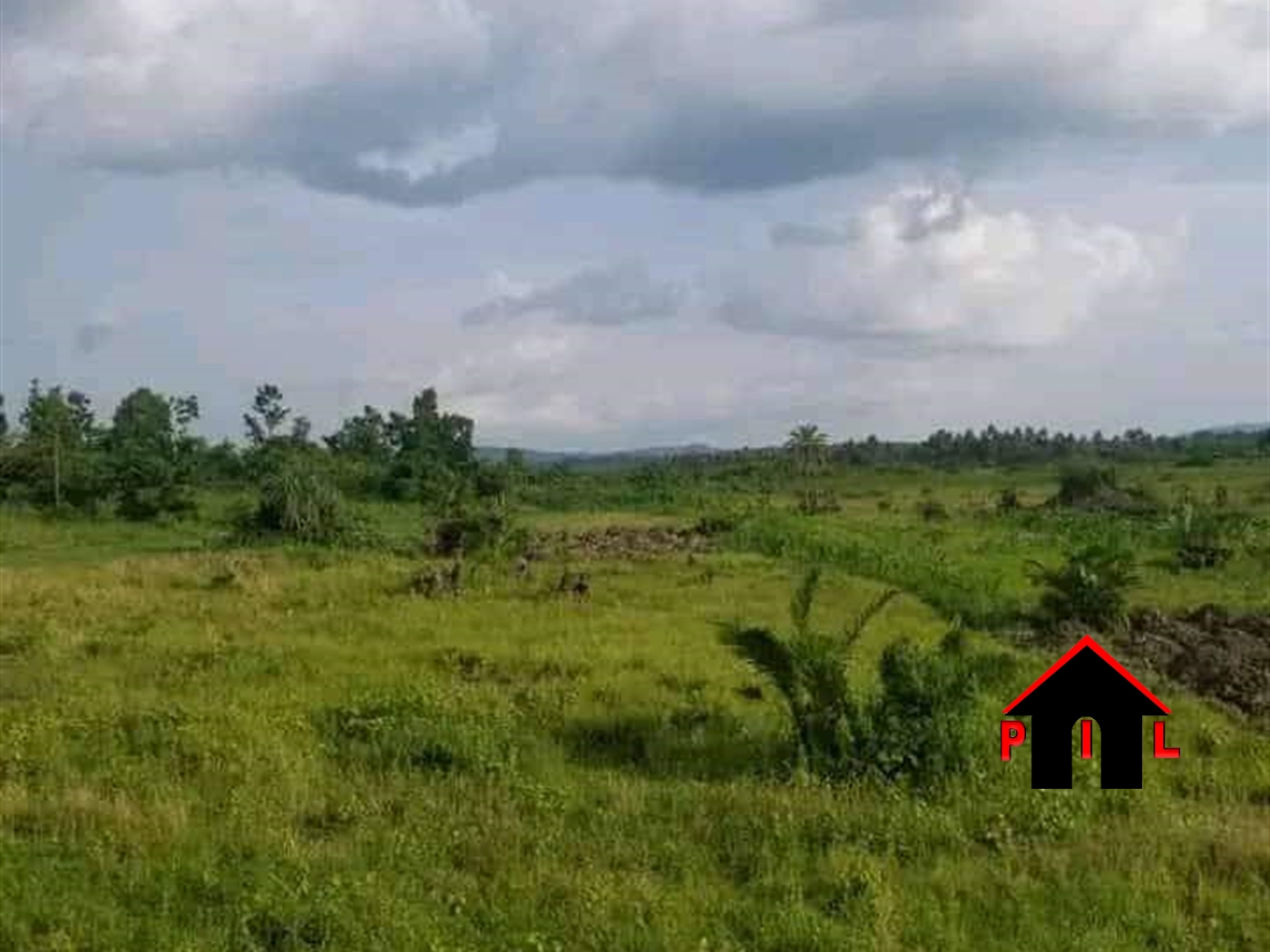 Agricultural Land for sale in Kisozi Gomba