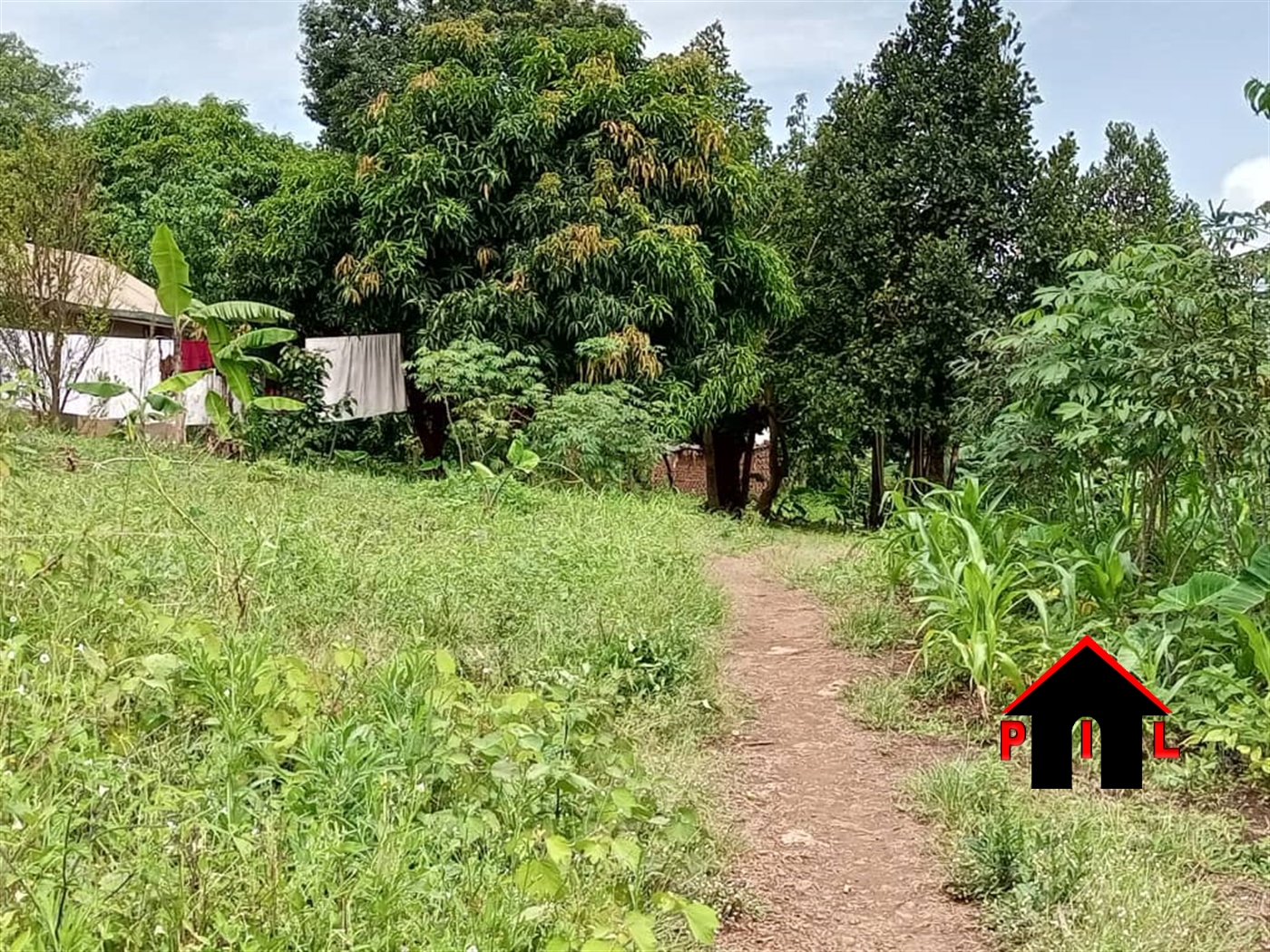 Commercial Land for sale in Nabbingo Wakiso