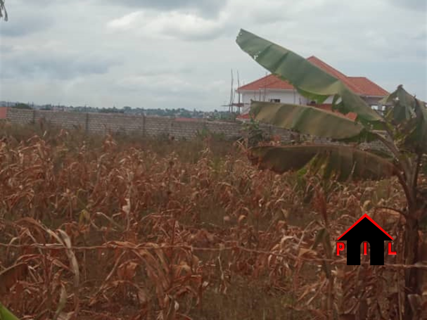 Commercial Land for sale in Nkumba Wakiso