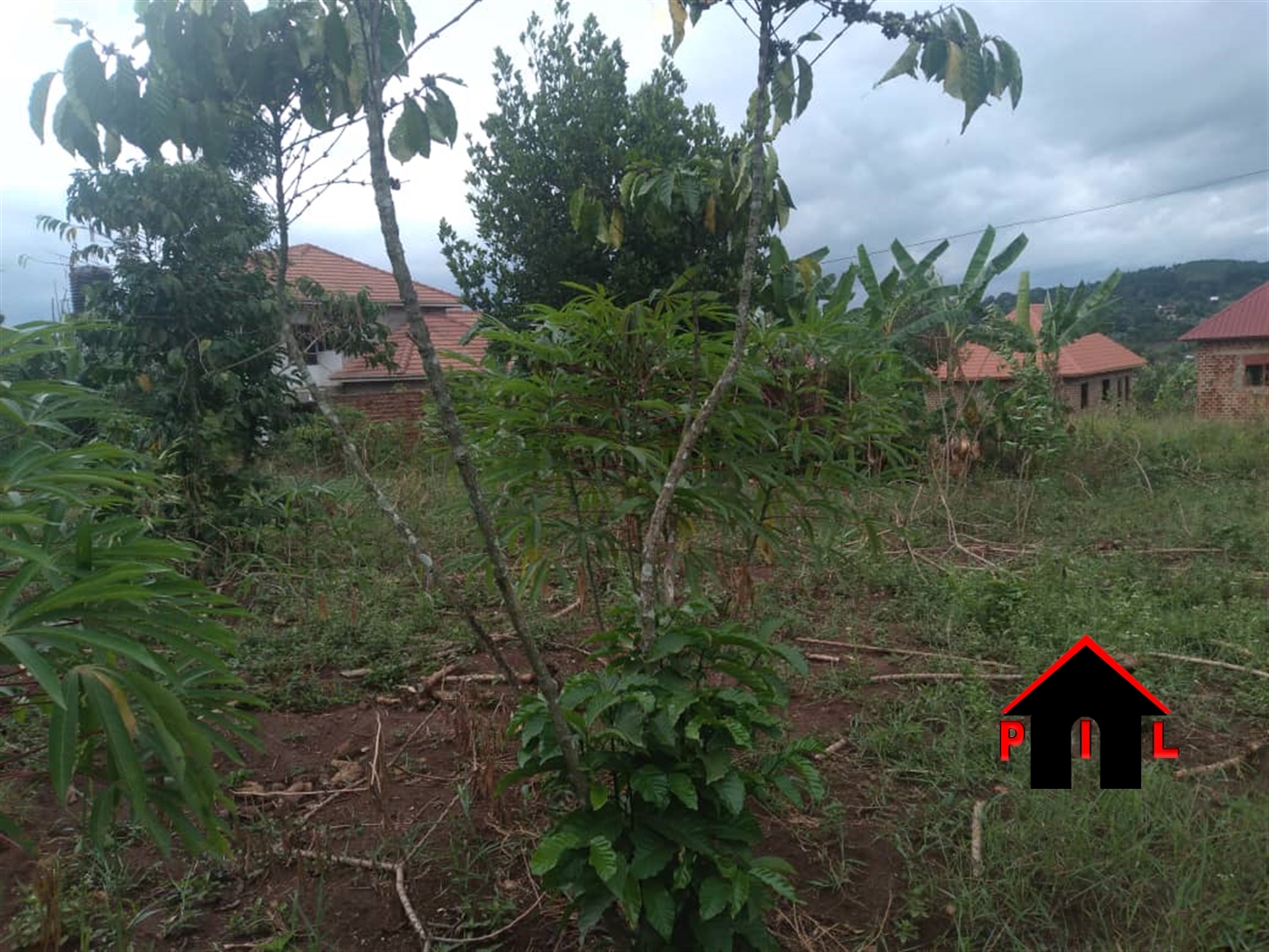 Residential Land for sale in Busukuma Wakiso