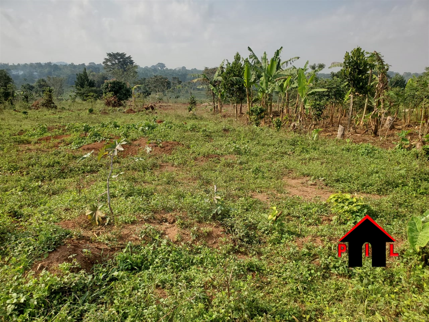 Residential Land for sale in Matugga Wakiso