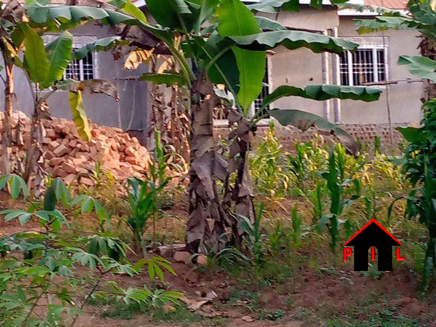 Residential Land for sale in Busukuma Wakiso