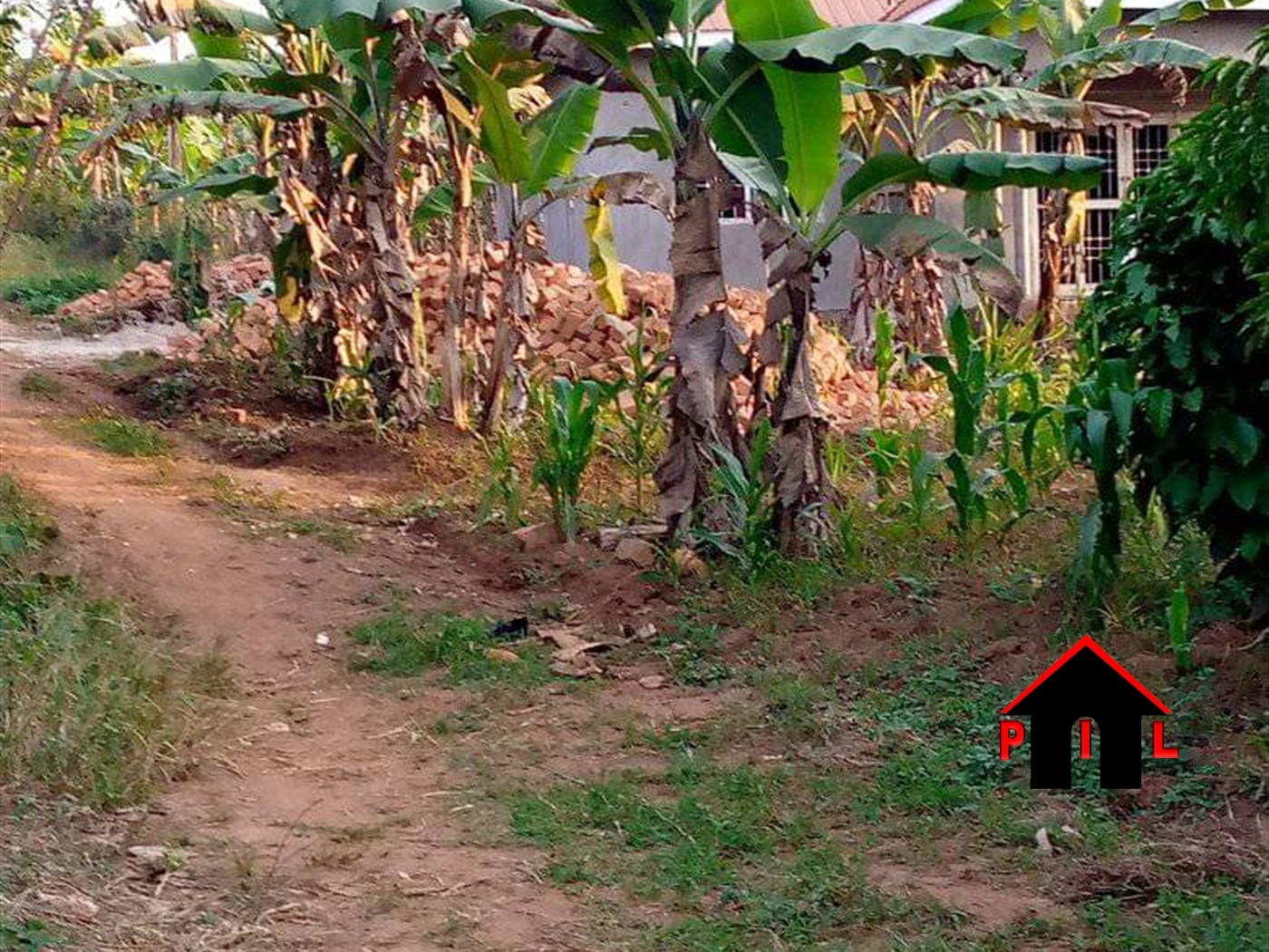 Residential Land for sale in Busukuma Wakiso