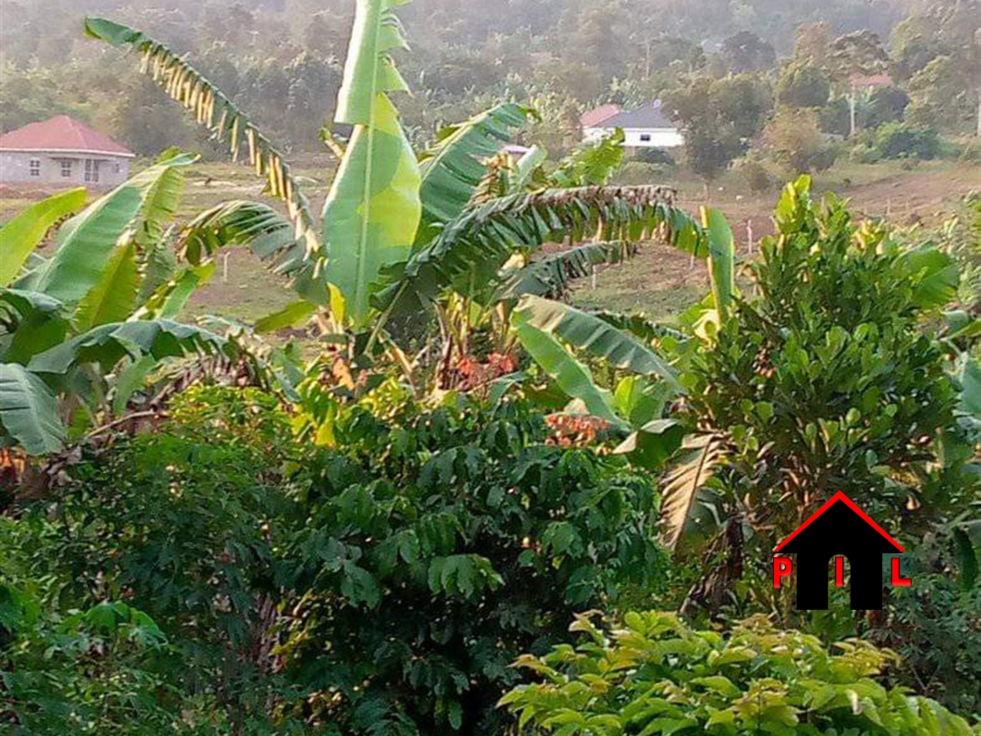 Residential Land for sale in Busukuma Wakiso