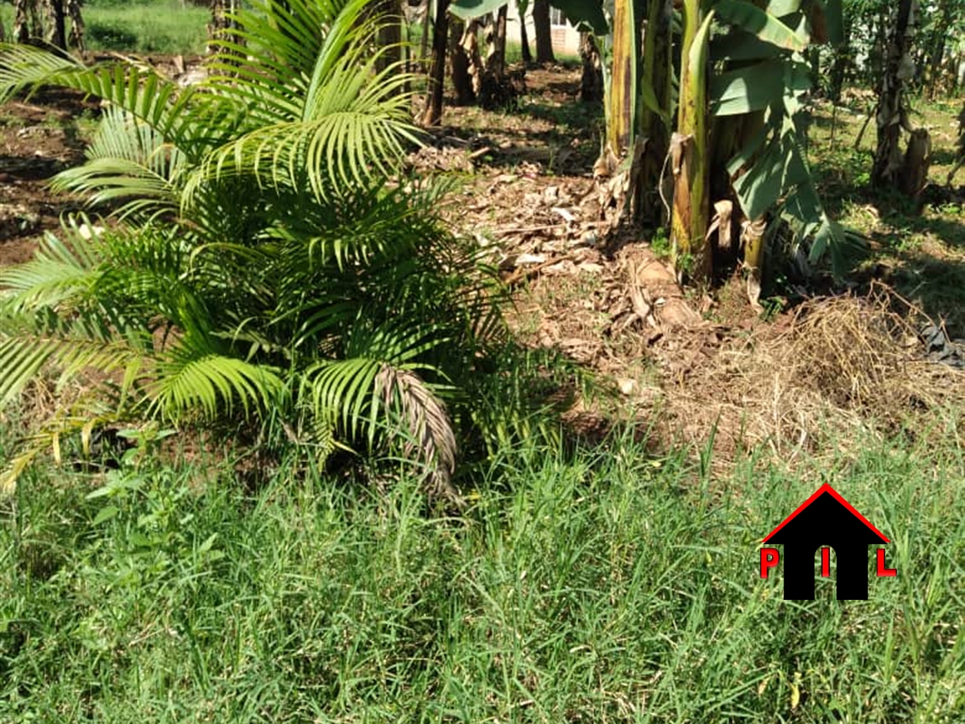 Residential Land for sale in Gayaza Wakiso