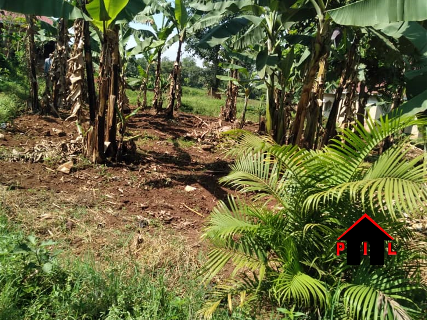 Residential Land for sale in Gayaza Wakiso