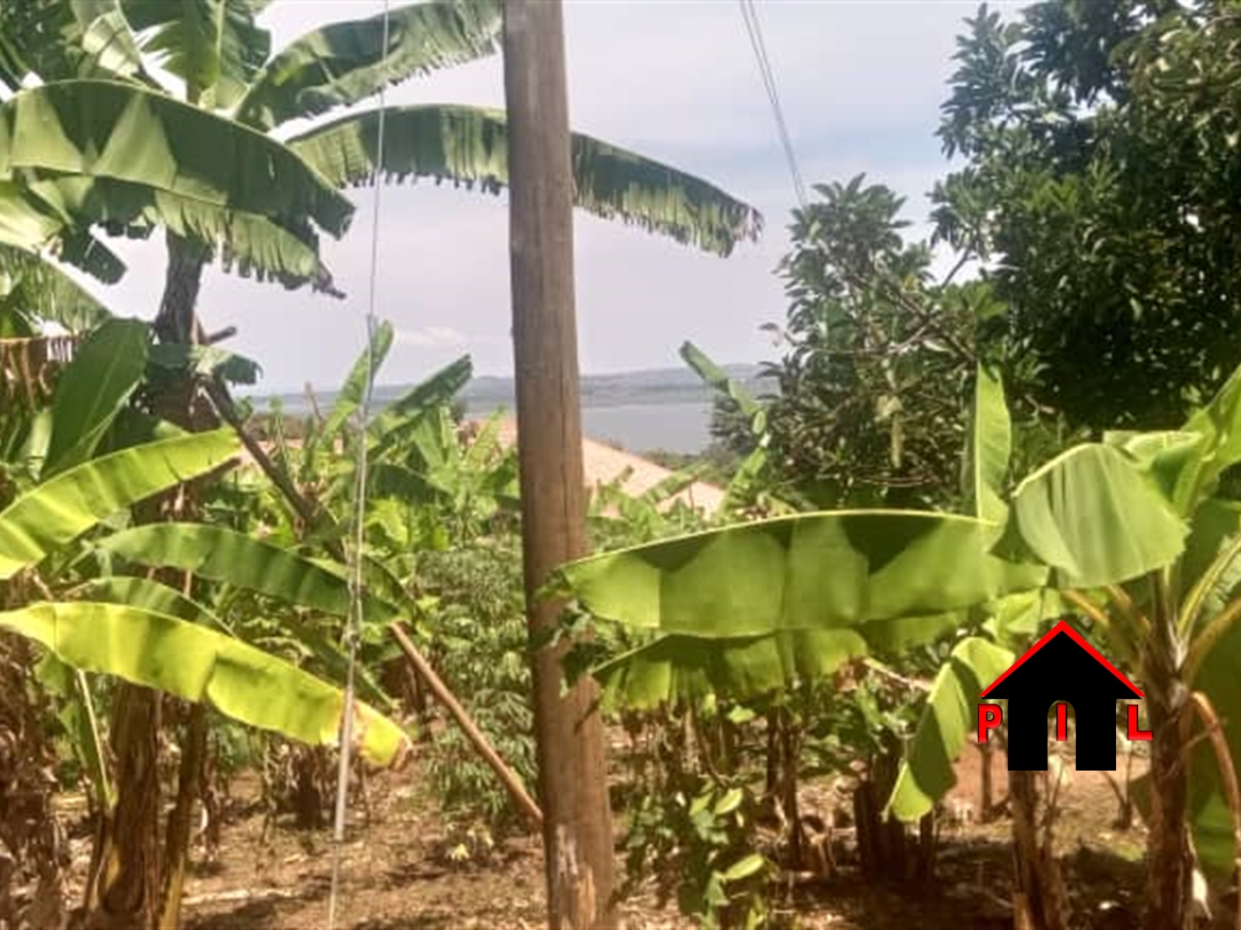 Commercial Land for sale in Kigo Wakiso