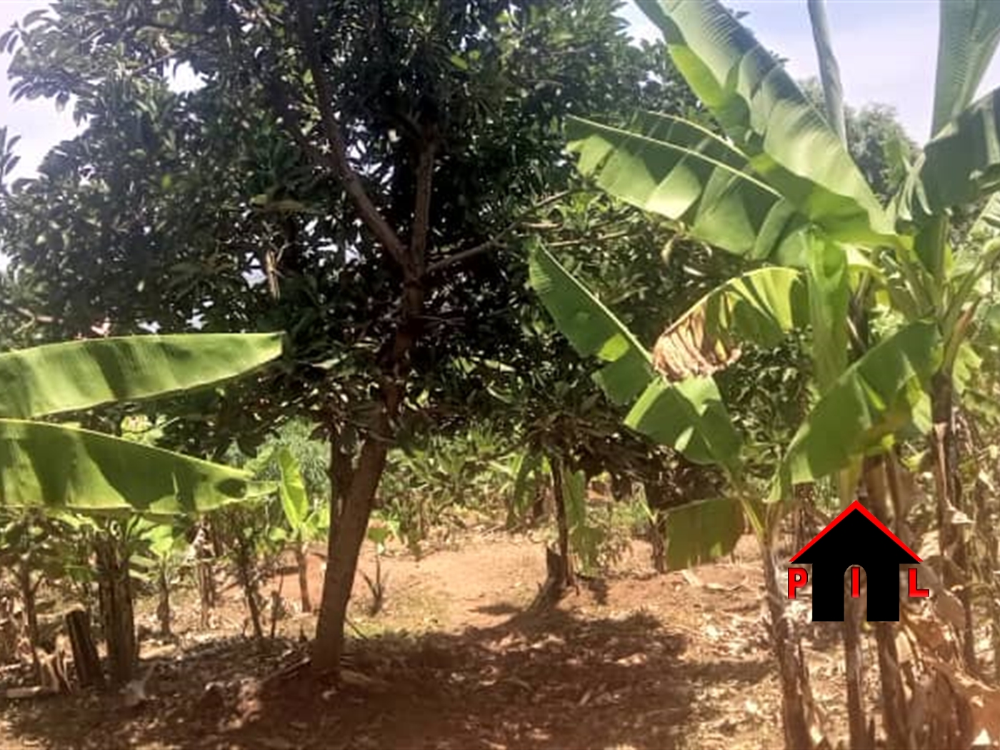 Commercial Land for sale in Kigo Wakiso