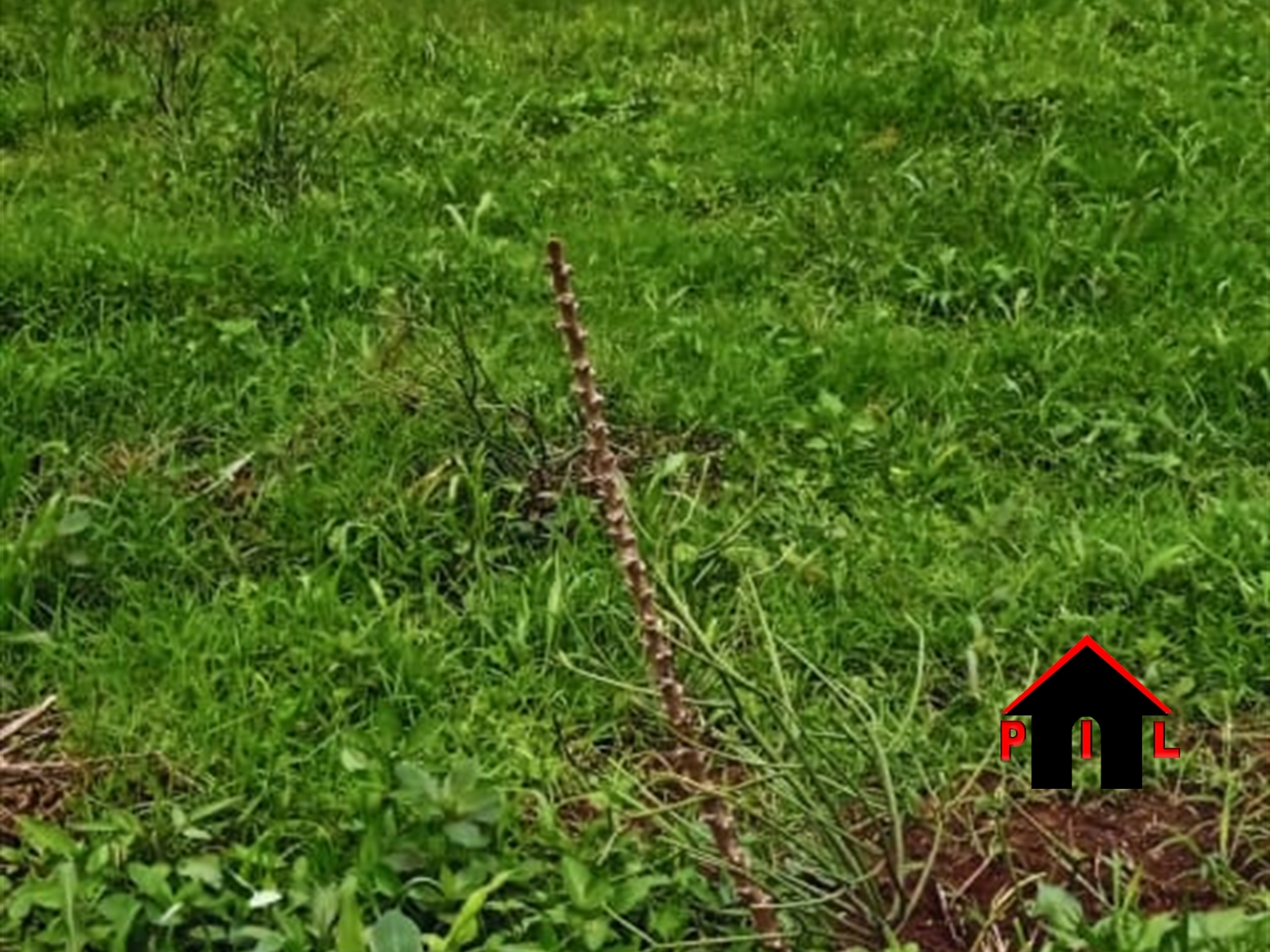 Residential Land for sale in Matugga Wakiso