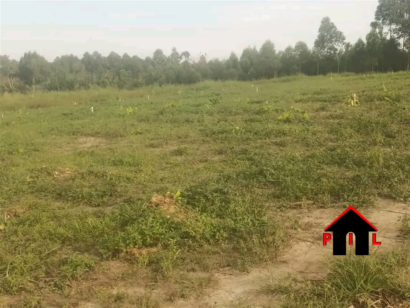 Residential Land for sale in Matugga Wakiso