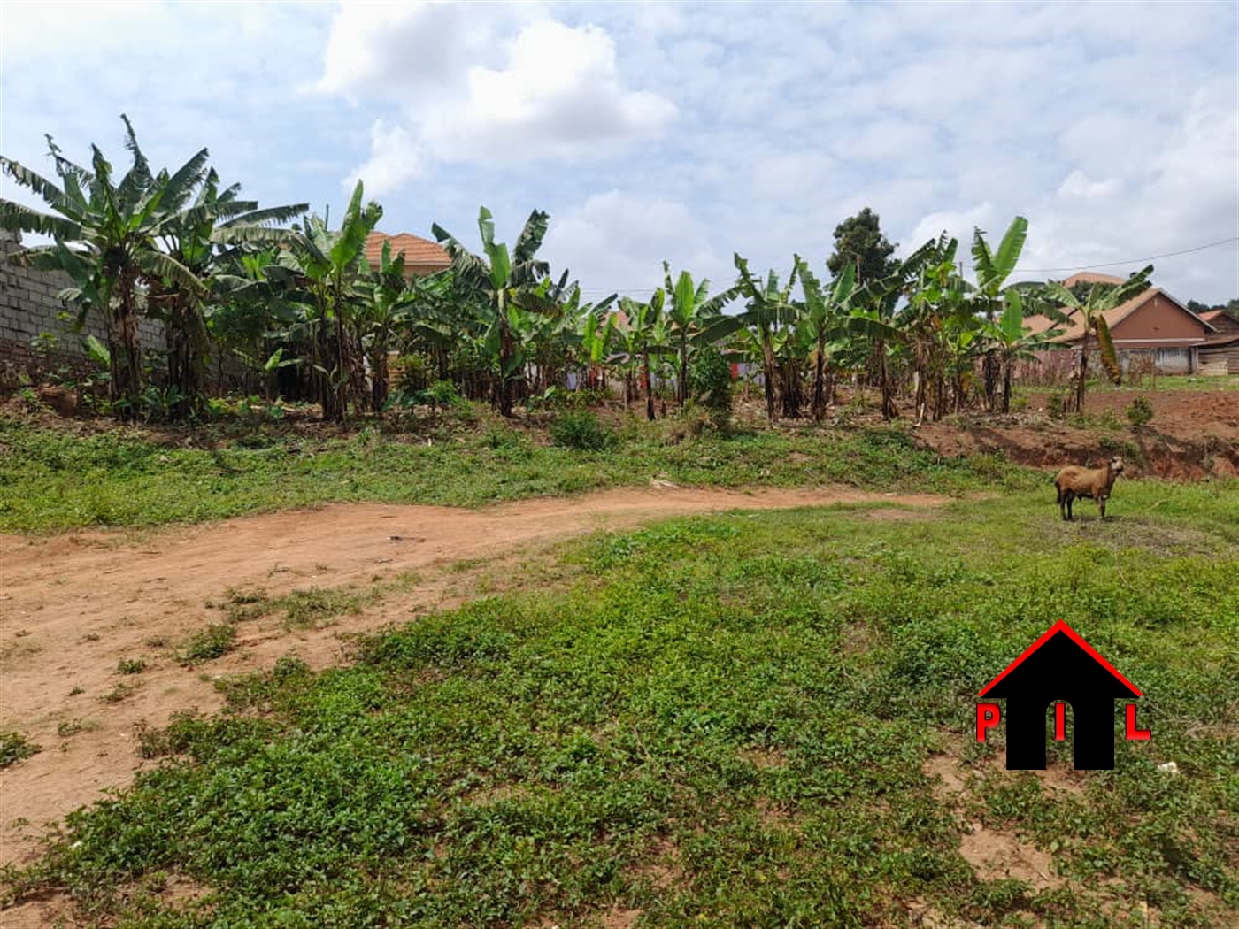 Residential Land for sale in Najjera Wakiso