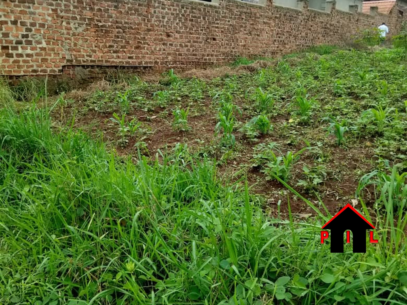 Residential Land for sale in Gombe Butambala
